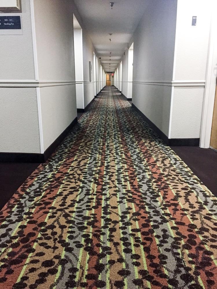 Sleep Inn Chattanooga Bagian luar foto
