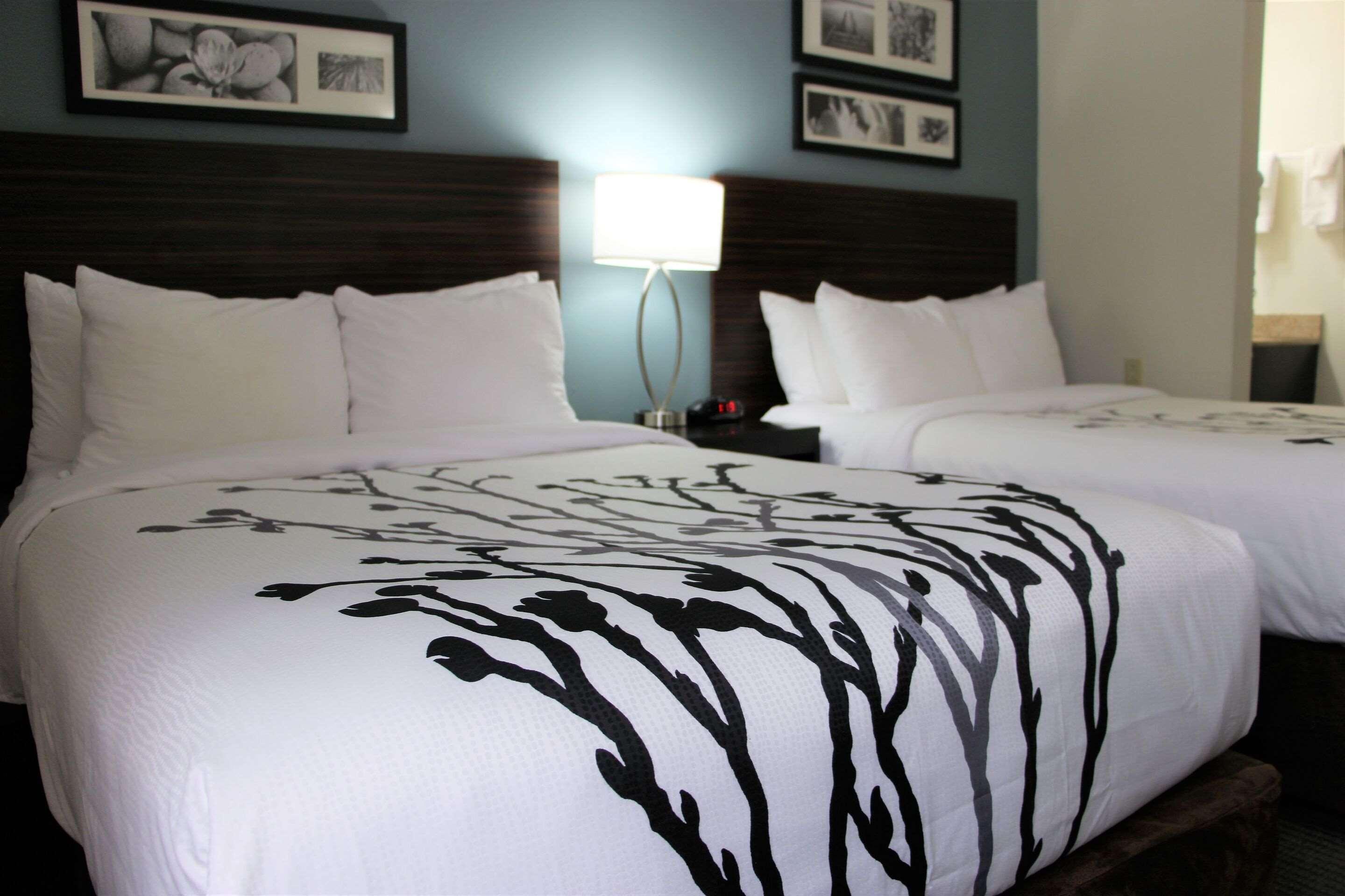Sleep Inn Chattanooga Bagian luar foto